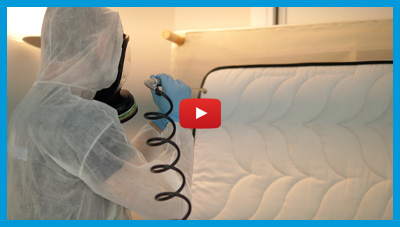 video sur les traitements de punaises de lit