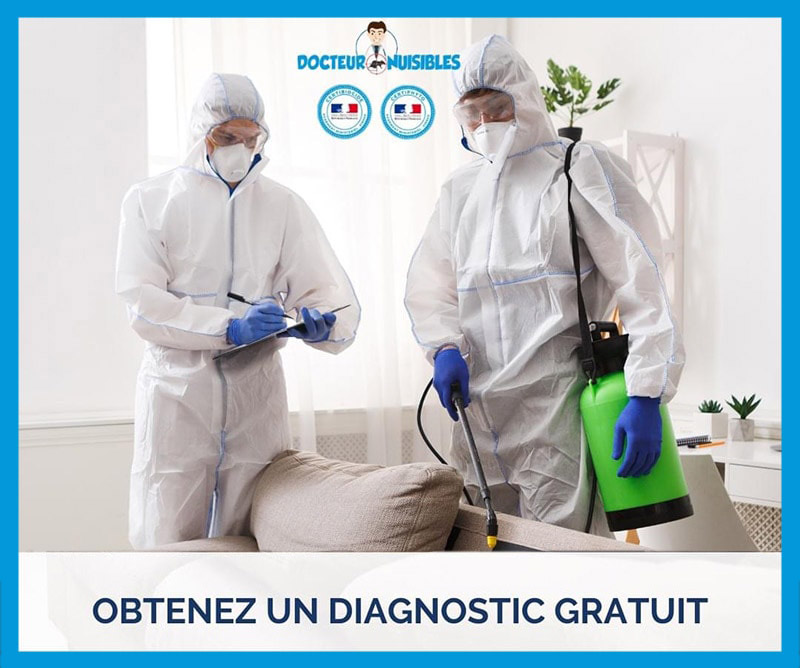 Des experts à votre service
