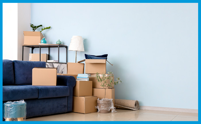 Comment préparer son appartement pour une désinsectisation réussie de punaises de lit ?