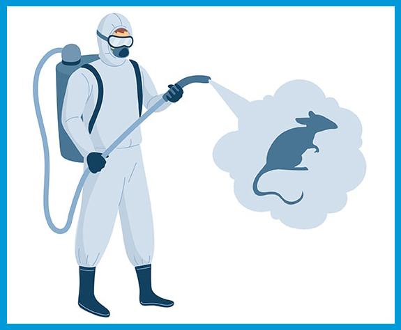 Éviter une infestation de rats à Paris