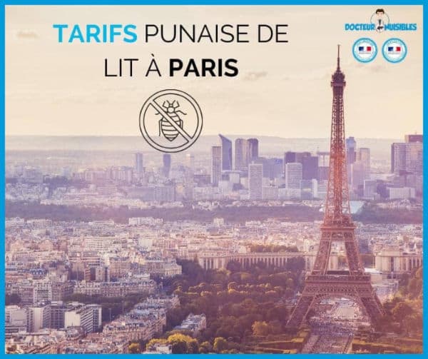 Tarifs punaise de lit à paris