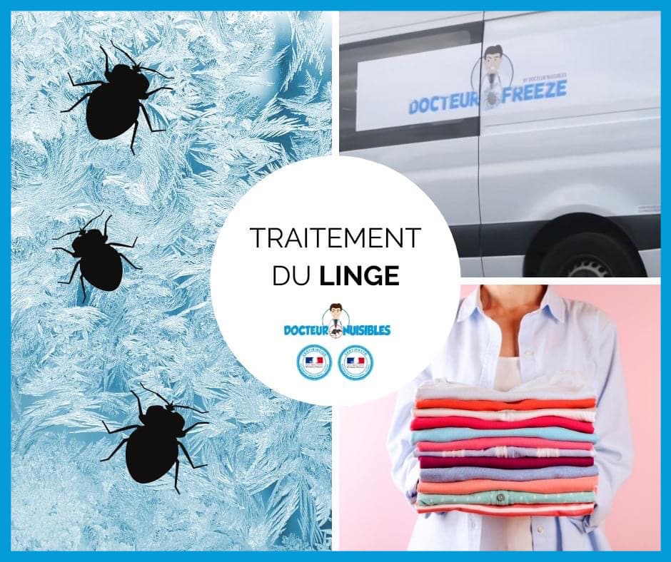 La surgélation pour traiter le linge infesté