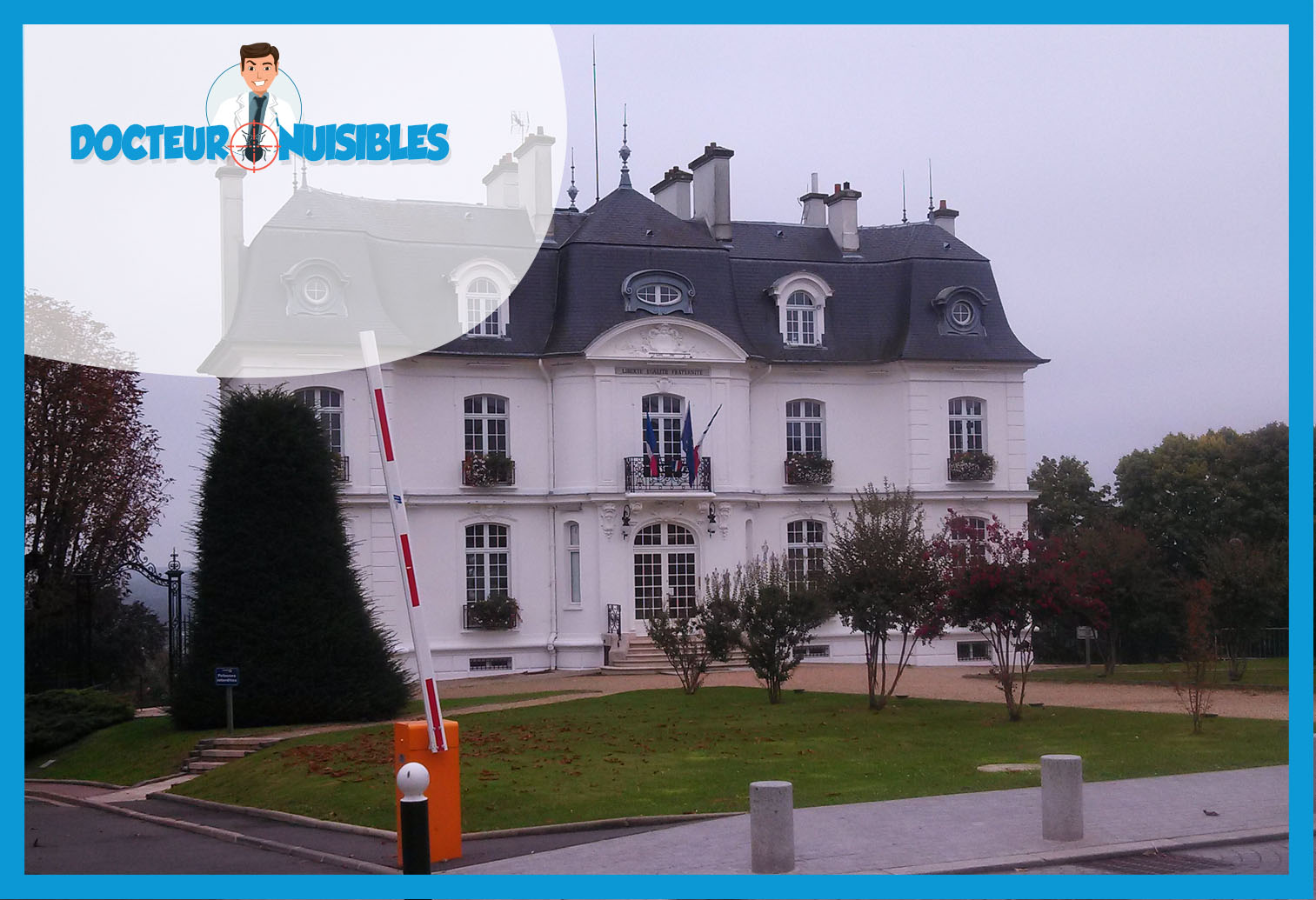 Désinsectisation à Athis Mons