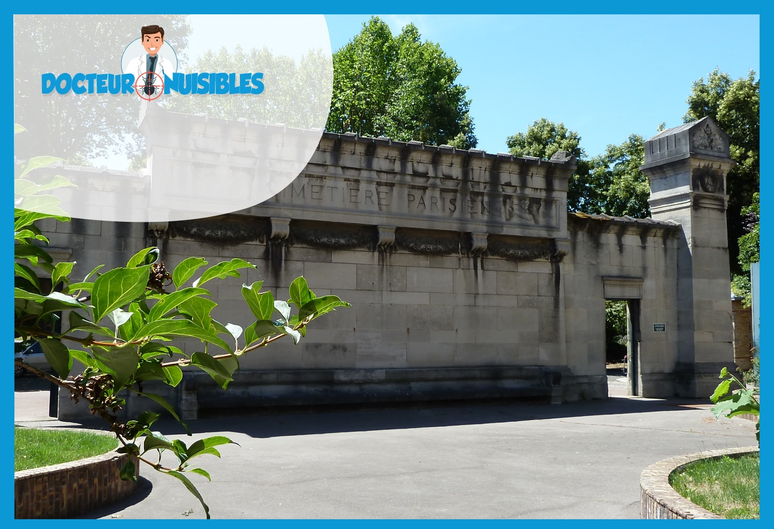 Dératisation à Bagneux