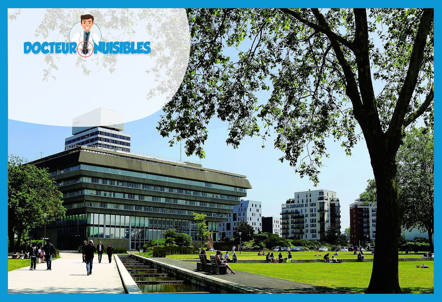 Désinsectisation à Cergy