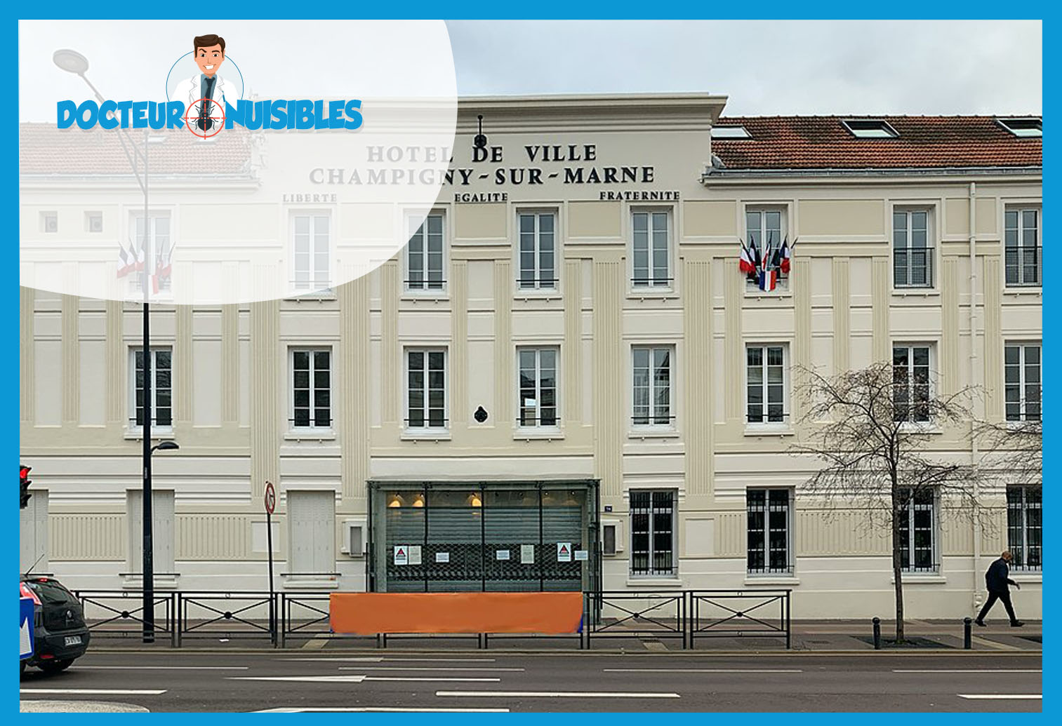 Désinsectisation à Champigny sur Marne