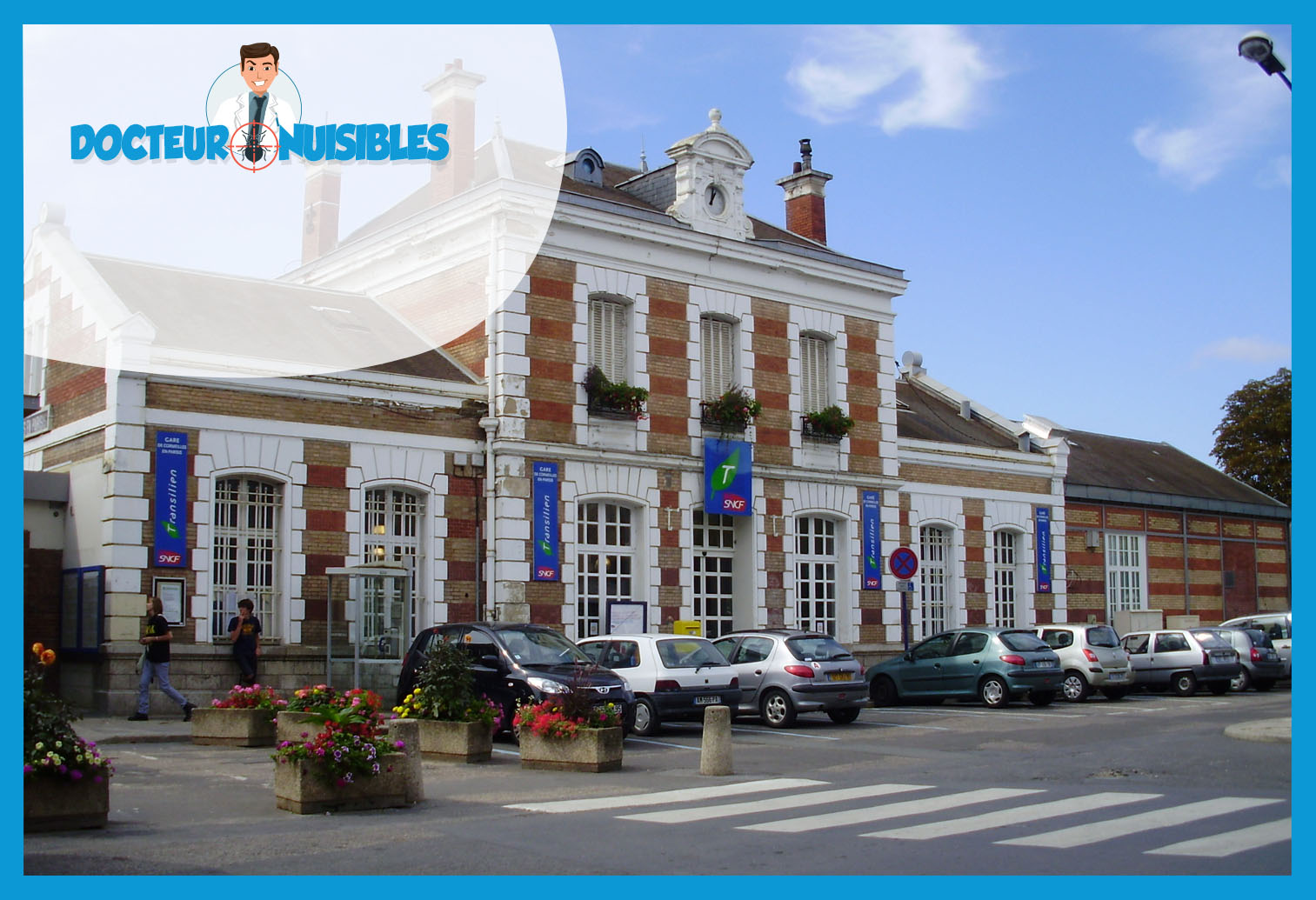 Désinsectisation à Cormeilles en Parisis