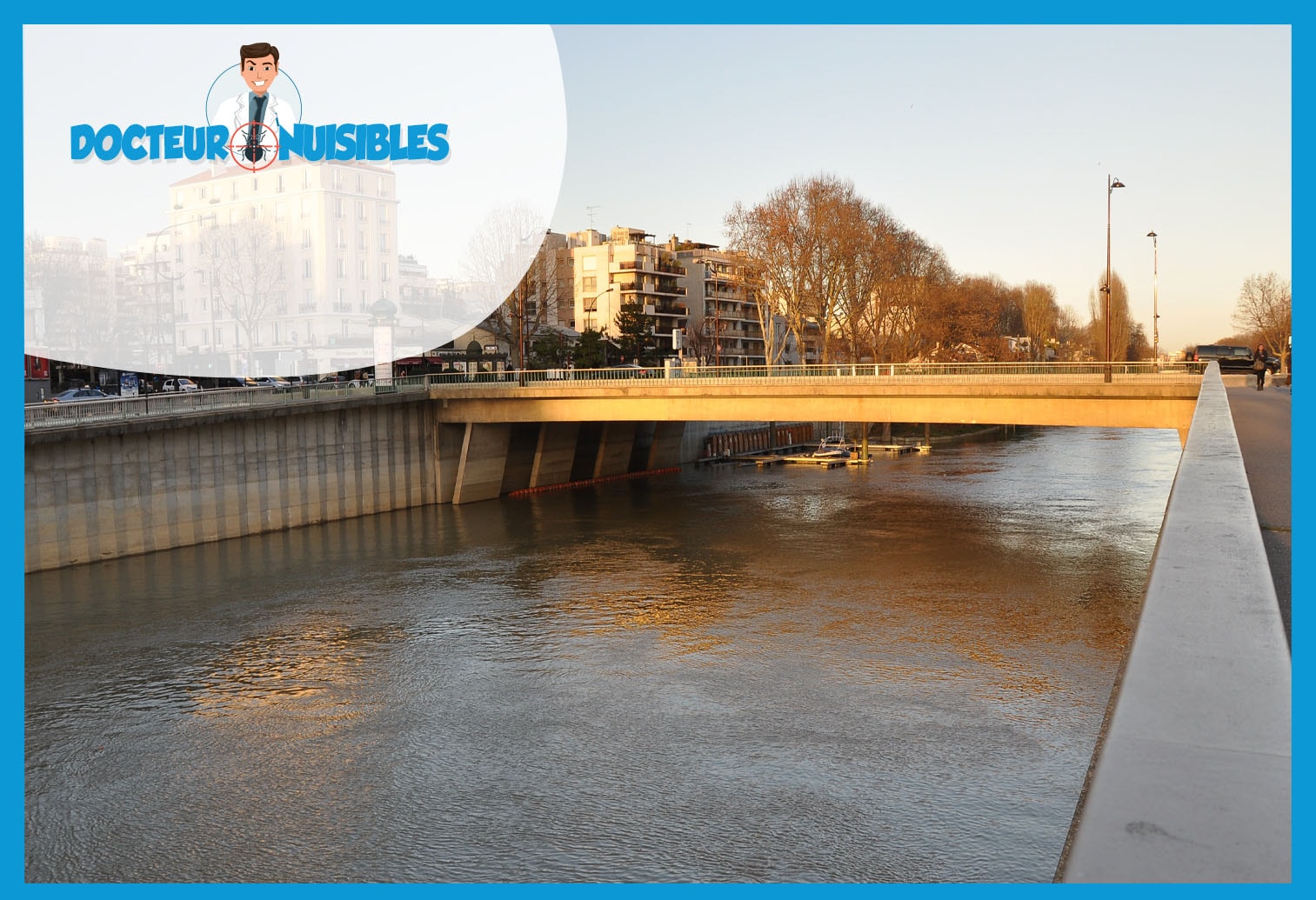 Désinsectisation à Courbevoie