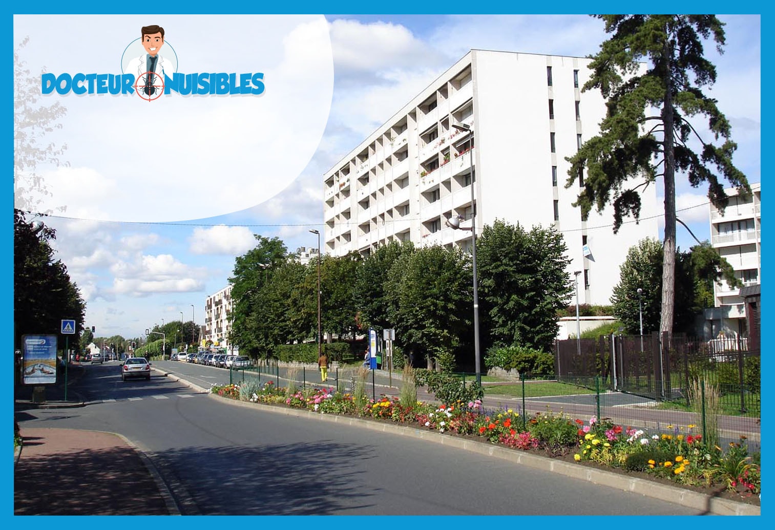 Désinsectisation à Franconville