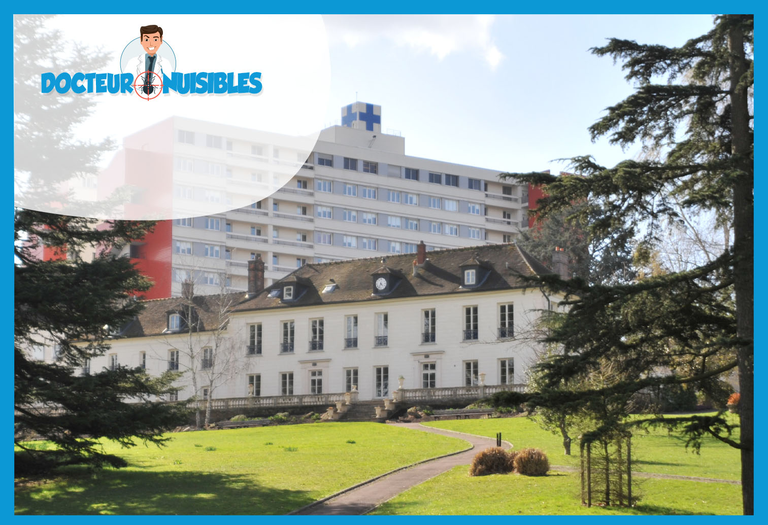 Désinsectisation à Longjumeau