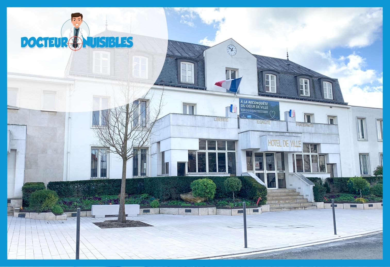 Désinsectisation à Montgeron