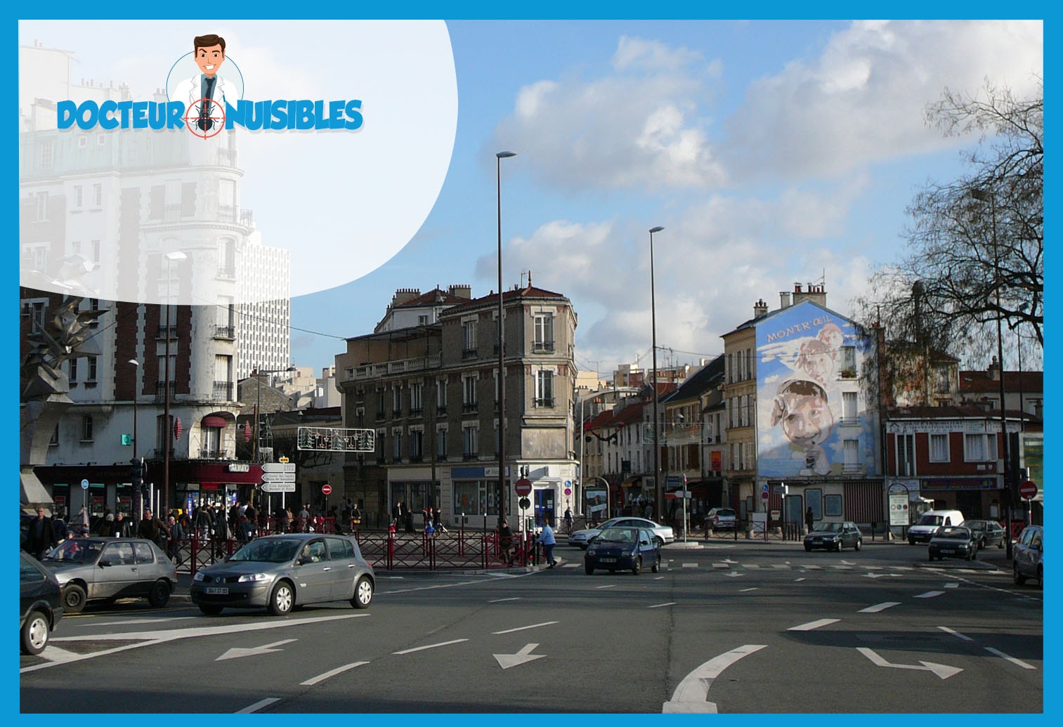 Désinsectisation à Montreuil