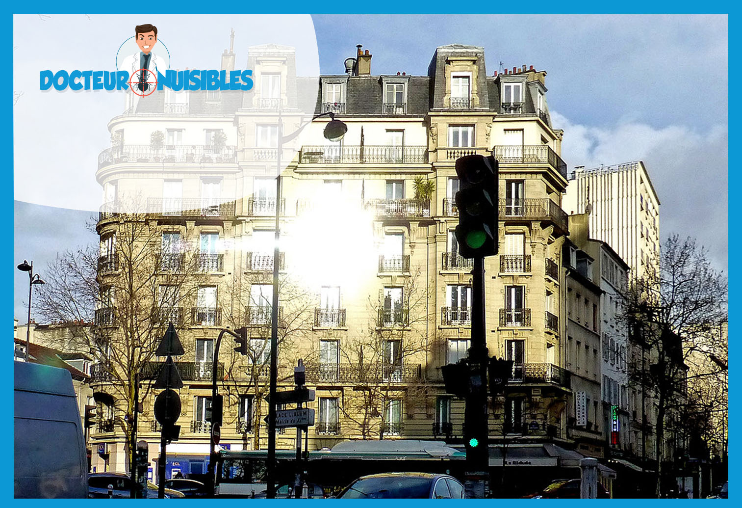 Dératisation à Paris 11