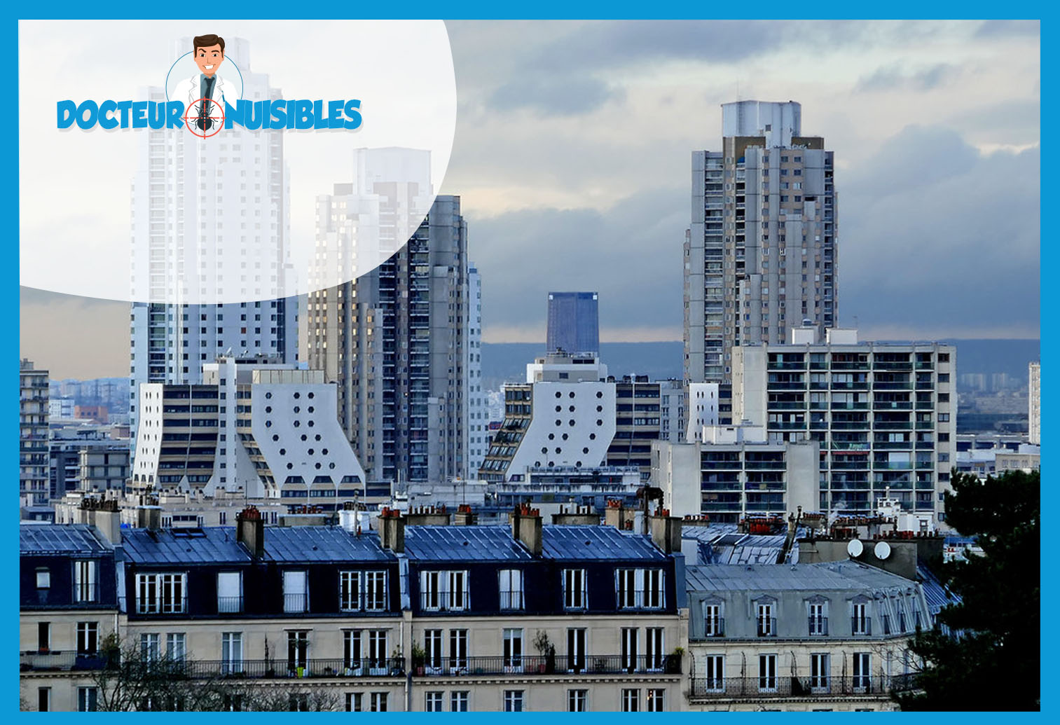 Dératisation à Paris 19
