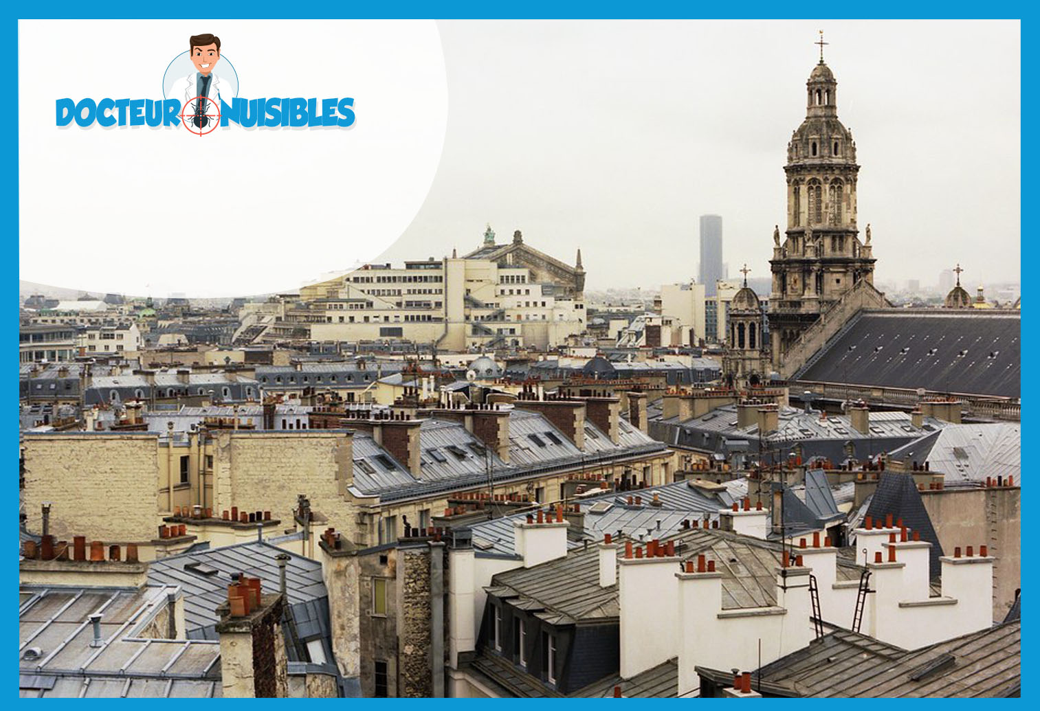 Désinsectisation à Paris 3