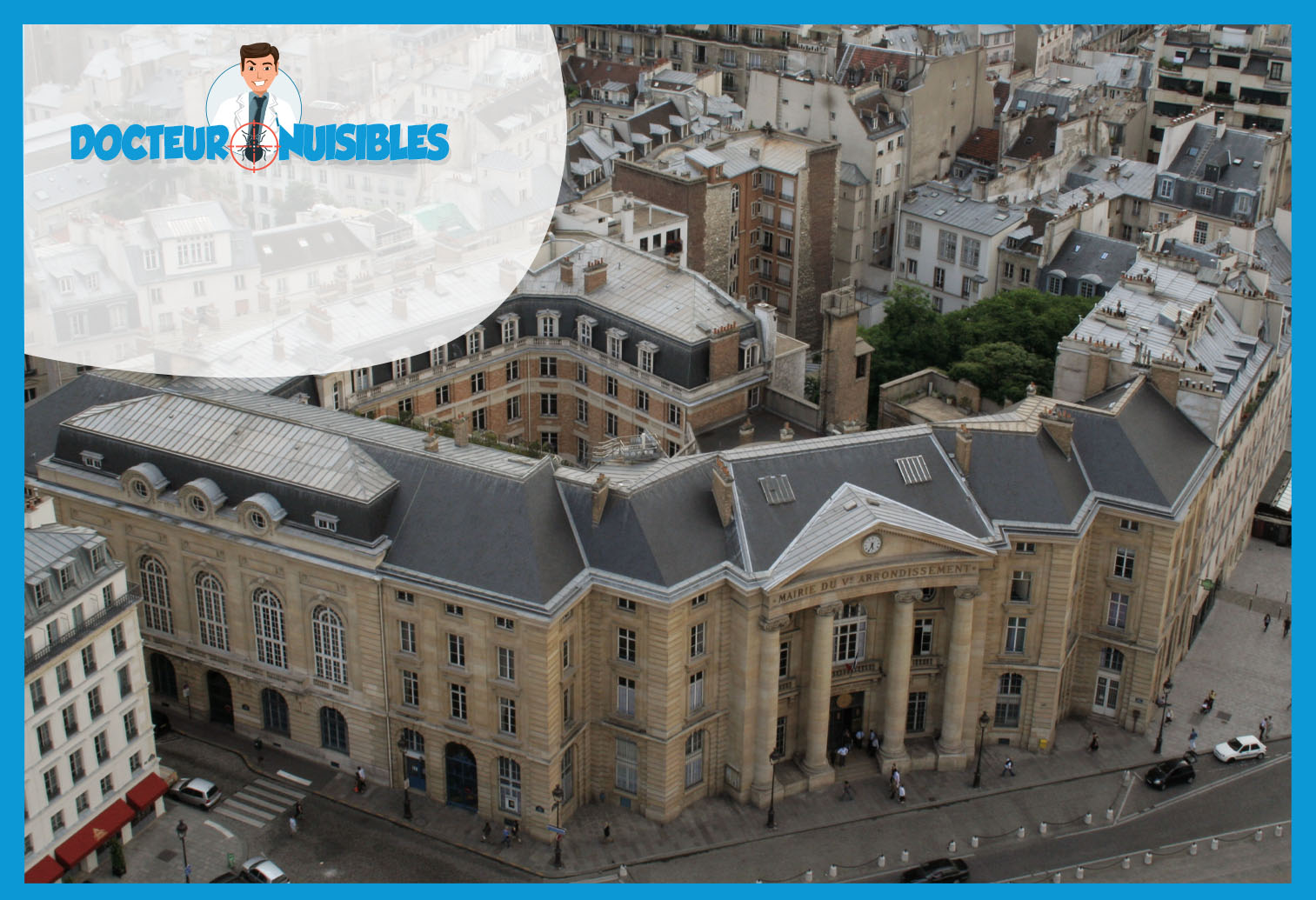 Dératisation à Paris 5