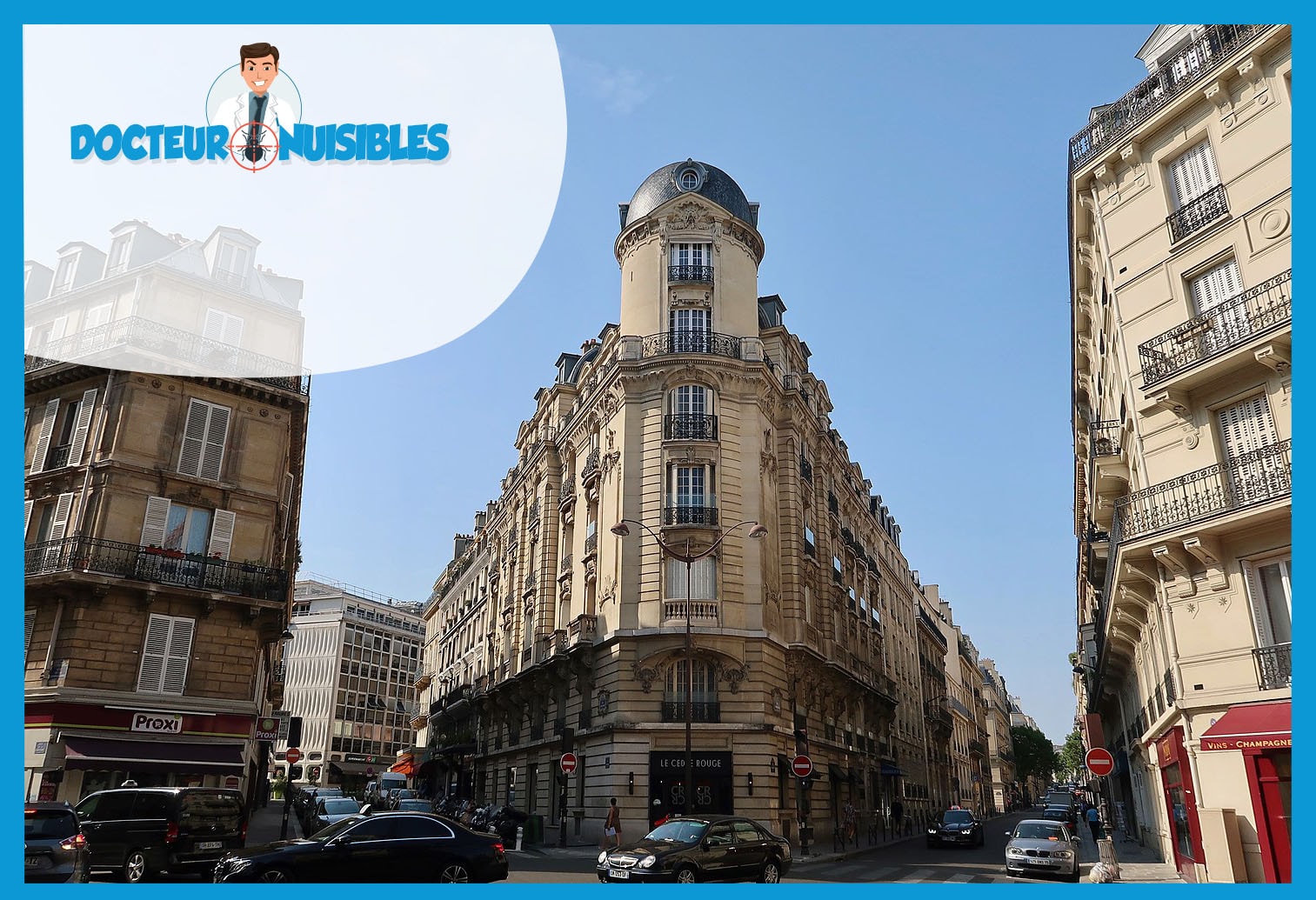 Désinsectisation à Paris 8