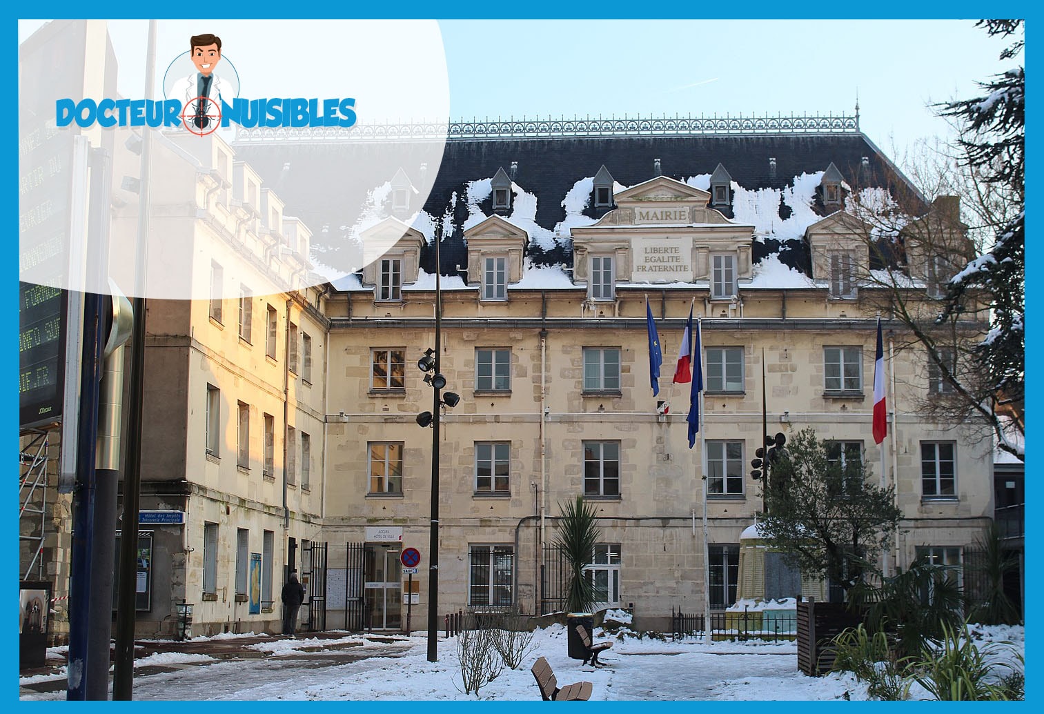 Désinsectisation à Villejuif